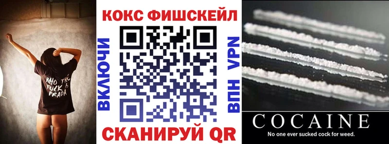 закладка  Алексеевка  Cocaine Fish Scale 
