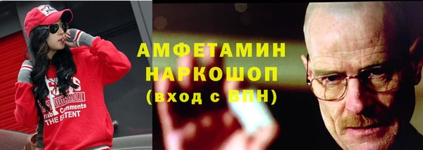 прущие грибы Алзамай