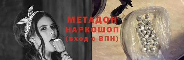 прущие грибы Алзамай