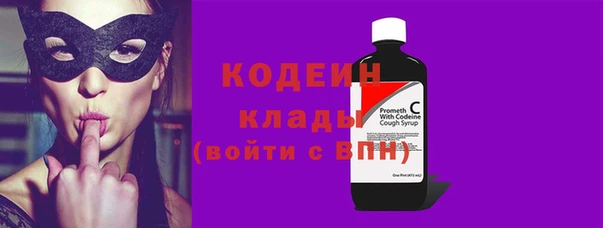 прущие грибы Алзамай