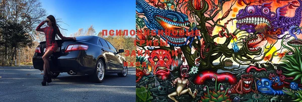стафф Алексеевка